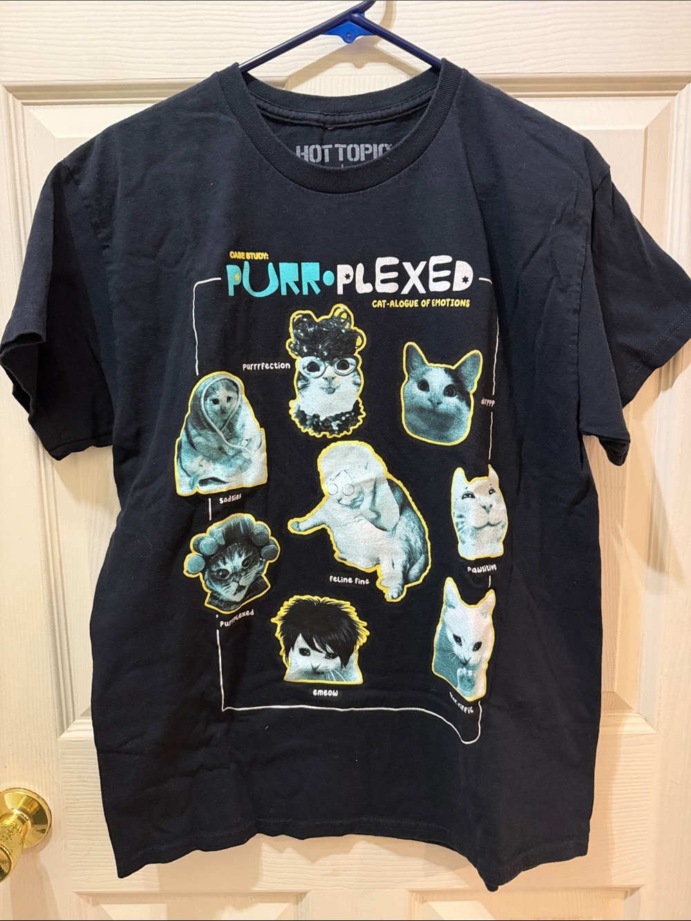 Hot Topic Black "Purrplexed" Cat Emotions Graphic Tee